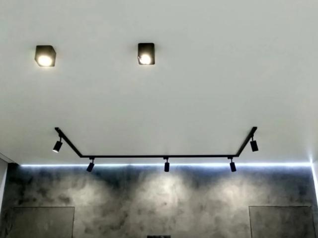 натяжной потолок с встроенным трековым освещением (45)