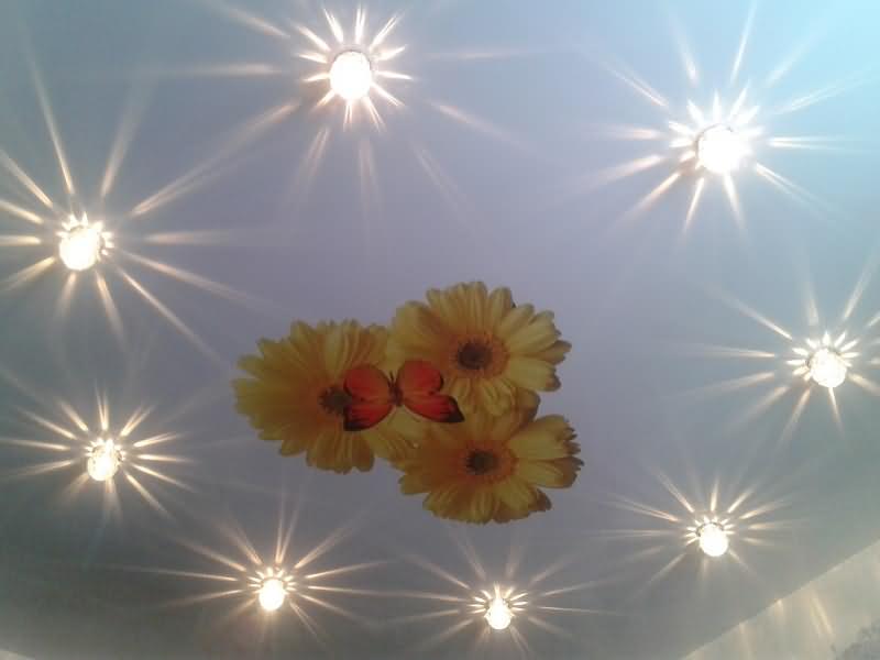 Фотопечать Цветы на натяжном потолке рисунок