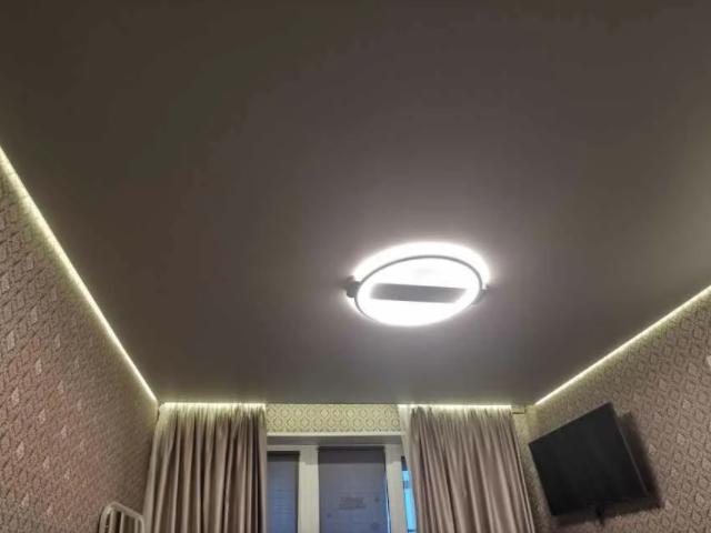 натяжной потолок в зале (28)