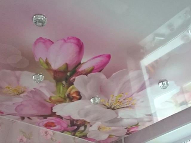 натяжной потолок с фотопечатью (9)