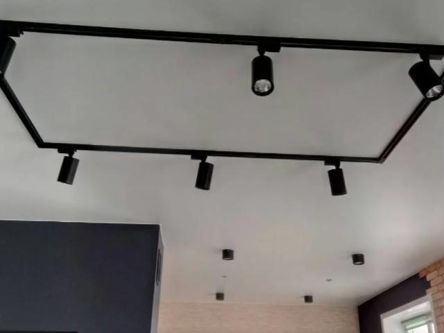 натяжной потолок с встроенным трековым освещением (14)