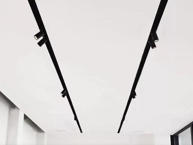 натяжной потолок с встроенным трековым освещением (24)